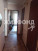  3- , ,  ., 21,  