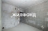  1- , ,   ., 244,  