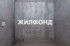  1- , ,   ., 244,  