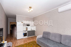  1- , ,  ., 230,  