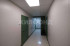  2- , ,  ., 55,  