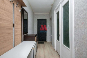  3- , , 1-  ., 55,  