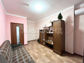  1- , ,   ., 238,  