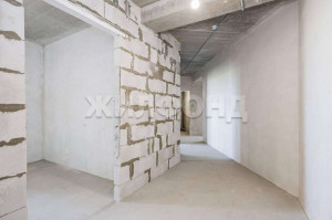  3- , ,  ., 67,  