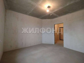 1- , ,  ., 242,  