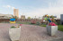  1- , ,  ., 242,  