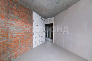  1- , ,  ., 15,  