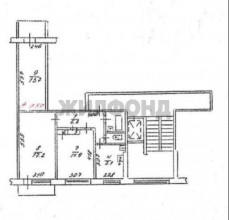  3- , ,  ., 219,  