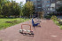  3- , ,   ., 18,  