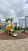  4- , ,  ., 41,  