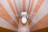  3- , ,  ., 90,  