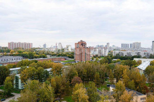  1- , ,   ., 260,  