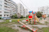  1- , ,  ., 117,  