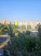  3- , ,  ., 4,  