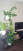  , , 1-  .,  
