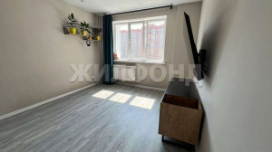  1- , ,   ., 244,  