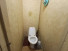 , 4-   , 9, 