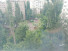  1- , ,   ., 17,  