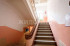  3- , ,  ., 62,  