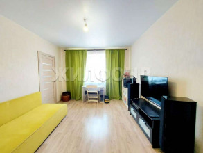  3- , ,  ., 29,  