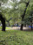  2- , , 9  ., 55,  