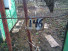   , , 3-  ,  