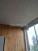  3- , ,  ., 17,  