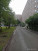  2- ,  ,  ., 41,  