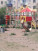  2- , ,  ., 10,  