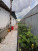  , , 1-  .,  