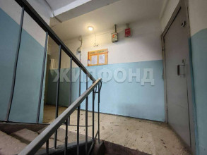  3- , ,  ., 77,  