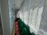  3- , ,  ., 108,  