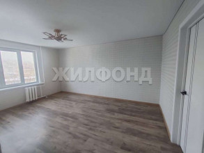  3- , ,  ., 51,  