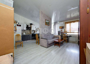 Продажа 1-комнатной квартиры, п Октябрьский, Французский квартал ул, 13, Новосибирская область