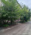  1- , ,  ., 131,  