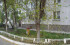  2- , ,  ., 33,  