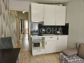 Продажа 1-комнатной квартиры, Новосибирск, Ключ-Камышенское Плато ул., 26, Новосибирская область