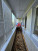  2- , ,  ., 163,  