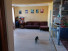  3- , ,  ., 9,  
