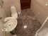  3- , ,  ., 29,  