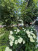  1- , ,  ., 62,  