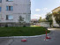  3- , ,  ., 23,  