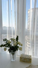  2- , ,  ., 31,  