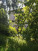 2- , ,  ., 14,  