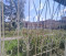  3- , , -  ., 1,  