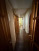  4- , ,  ., 31,  