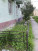    ,  ,  ., 37,  