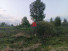   , , 4-  ,  