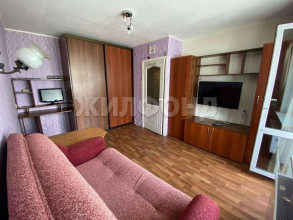  1- , ,  ., 48,  