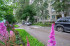  2- , ,   ., 21,  